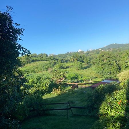 Grand T2 Tout Confort , Emplacement Ideal Riviere-Salee ภายนอก รูปภาพ